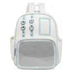 Clear Window Ita Backpack – Purple