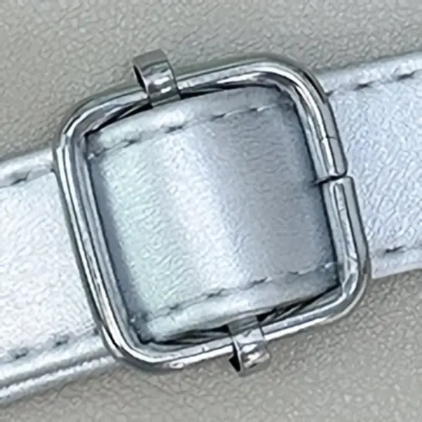 Close up of silver metal buckle and strap on ita bag